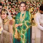 शोएब मलिक और सना जावेद